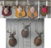 deer.jpg