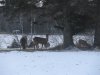 IMG_0105.JPG