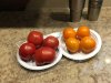 maters4.jpg