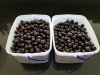 20170820_164013.jpg