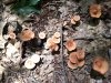 IMG_20180823_121107265.jpg