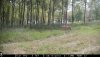 IMG_0833.JPG IMG_0833.JPG