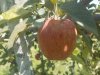 20180827_152117.jpg