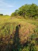 20180901_074956.jpg