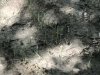 9B13A3C2-3E22-44E4-AA26-38318AB984DB.jpeg
