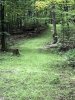 4D8165A3-AD65-4D23-9825-69FF6252E94B.jpeg