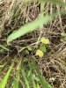 IMG_3257.jpeg
