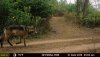 MFDC4190.JPG