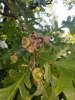 20180905_100305.jpg