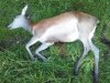 20180907_203346.jpg 20180907_203346.jpg