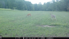 8147DA07-1FCD-47BD-8EF9-54DDA6453E40.png
