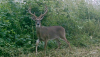 7A80D5F5-44A9-4FF1-8845-978D69276F3B.png 7A80D5F5-44A9-4FF1-8845-978D69276F3B.png