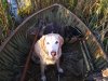 Nelli and birds.jpg Nelli and birds.jpg