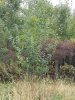20180929_085941.jpg