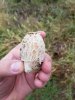 20181006_102942.jpg