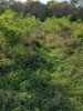 20181008_150707.jpg
