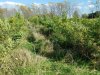 20181008_150813.jpg