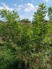 20181008_150925.jpg