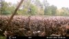 62955-20181007180406-100MFCAM_MFDC4353.JPG
