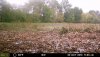 62955-20181008180410-100MFCAM_MFDC4365.JPG