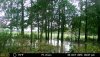 27258-20181008230941-100MFCAM_MFDC3683.JPG