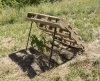 5152-Pawpaw under a pallet-72.jpg