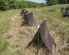 5154-Pawpaw tent city-72.jpg