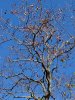 IMG_1856.JPG