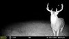 IMG_1896.JPG IMG_1896.JPG