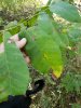 20181020_111309.jpg