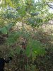 20181020_111315.jpg