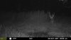 IMG_566E23F85126-1.jpeg