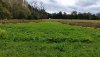 20181101_125530_resized.jpg