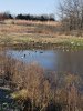 20181110_093516.jpg
