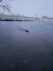 20181112_064709.jpg 20181112_064709.jpg