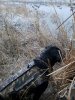 20181112_065644.jpg 20181112_065644.jpg