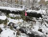 IMG_3176.JPG
