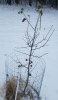 20181118_084126.jpg