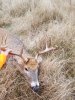 Resized_20181117_082027_6294.jpeg Resized_20181117_082027_6294.jpeg