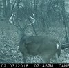 IMG_2568rd.jpg