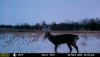 23436-20181125222515-100MFCAM_MFDC4198.JPG