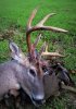 IMG_20181128_201732.jpg IMG_20181128_201732.jpg