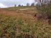 20181124_103602.jpg 20181124_103602.jpg