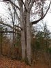 20181124_104045.jpg