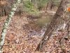 20181124_104252.jpg