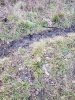 20181206_082902.jpg