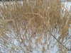 IMG_20181119_141746891.jpg