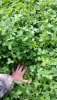 20160429_082446_resized.jpg