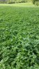 20160429_082344_resized.jpg