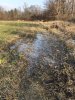 540A0E66-B403-4BD7-80D8-BD79159E0C93.jpeg